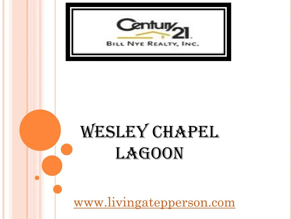wesley chapel lagoon n.