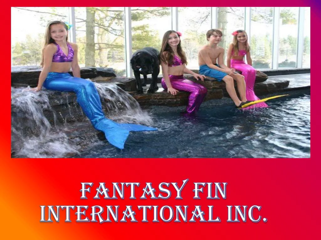 fantasy fin international inc n.