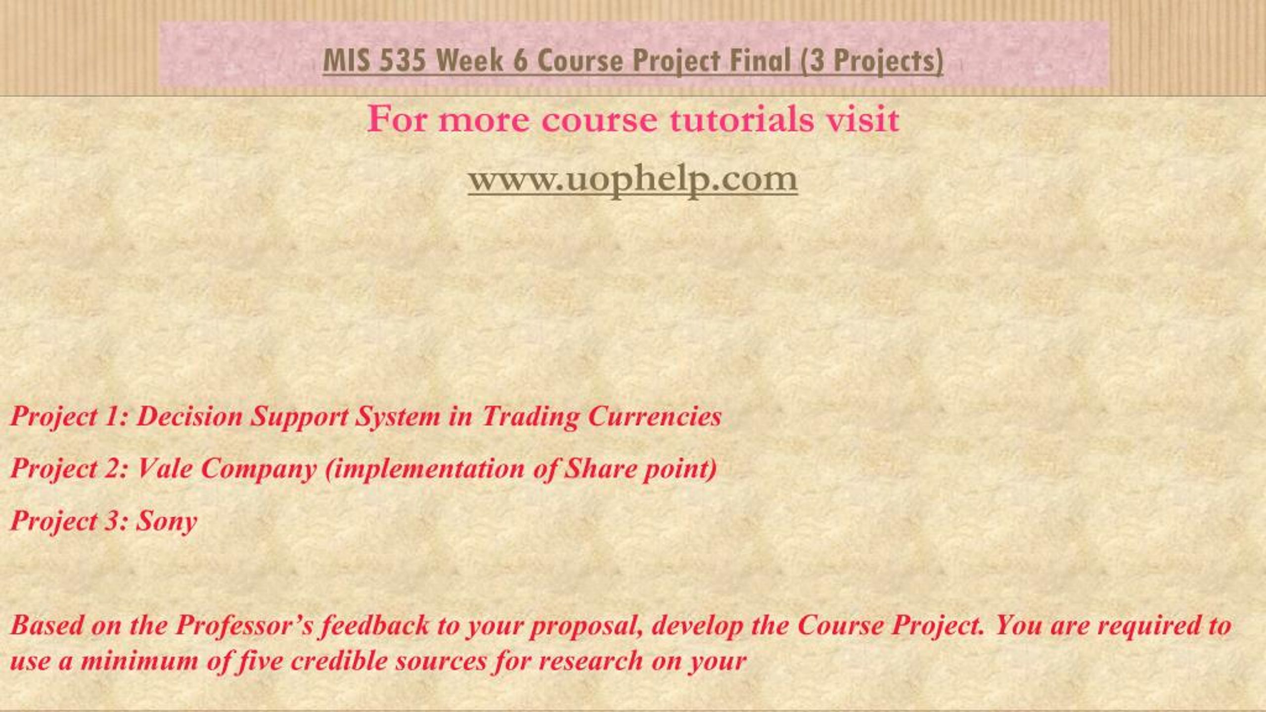 MIS 535 Course Project