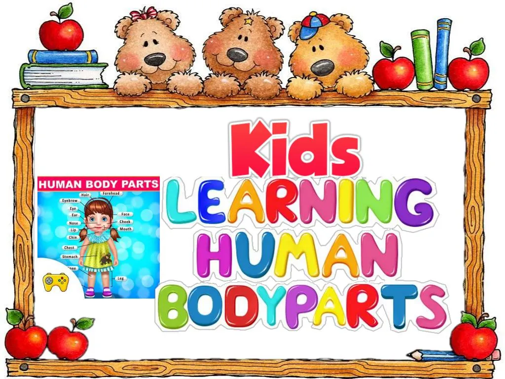 parts of the body powerpoint presentation for kindergarten