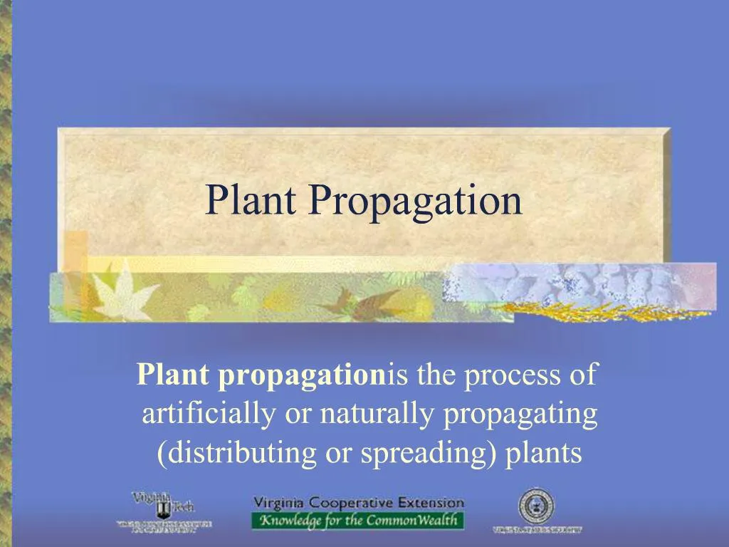 PPT - Plant Propagation PowerPoint Presentation, Free Download - ID:763652