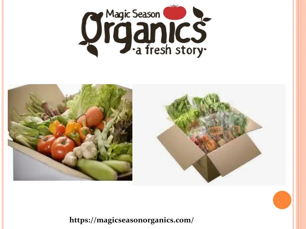 PPT healthy food delivery hong kong PowerPoint Presentation, free