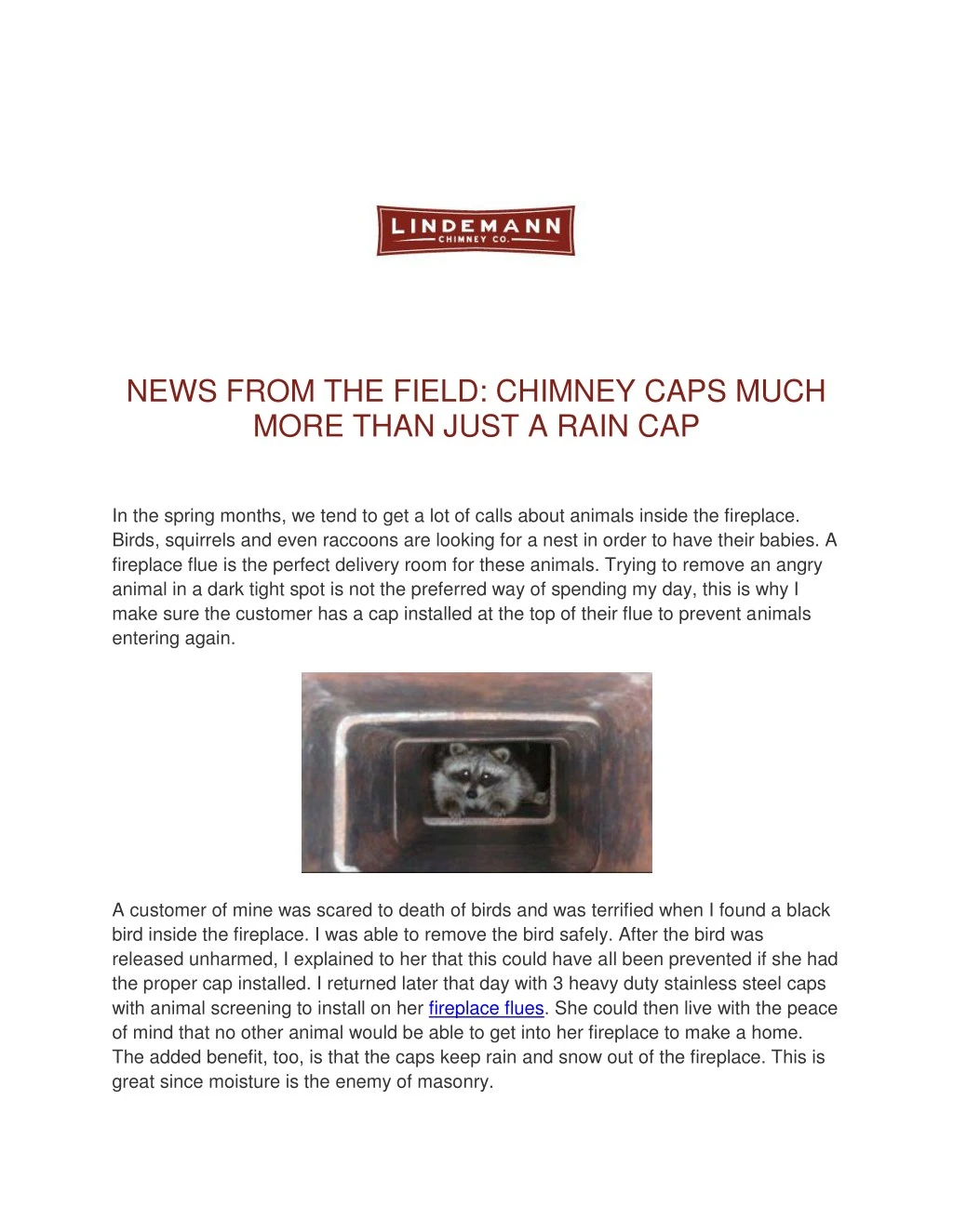 news from the field chimney caps much more than n.