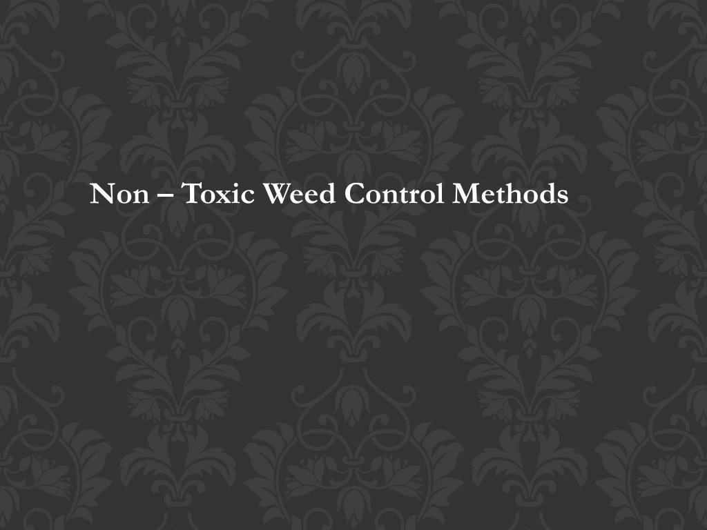 non toxic weed control methods n.