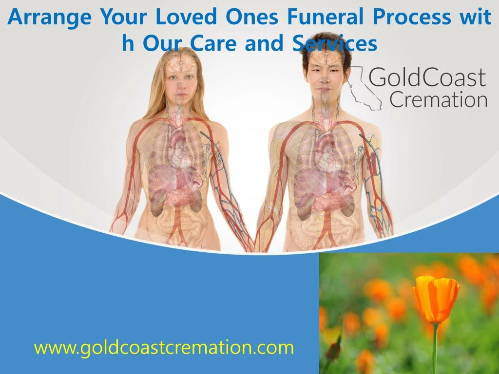 arrange your loved ones funeral process with n.