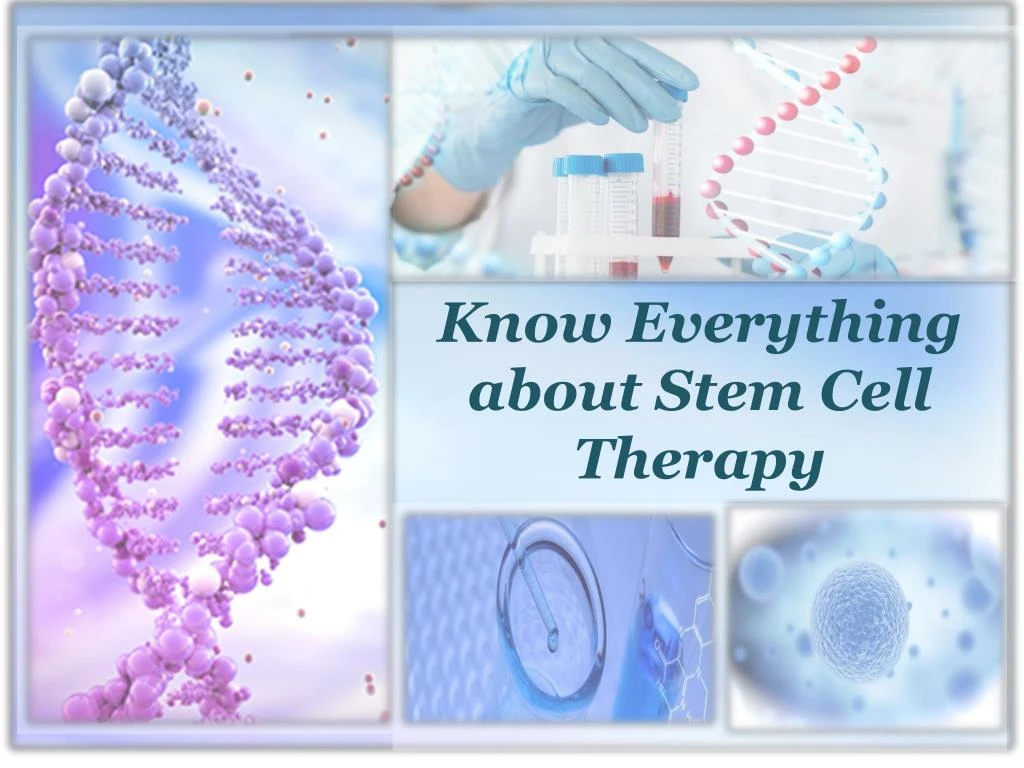 Ppt Know Everything About Stem Cell Therapy Powerpoint Presentation