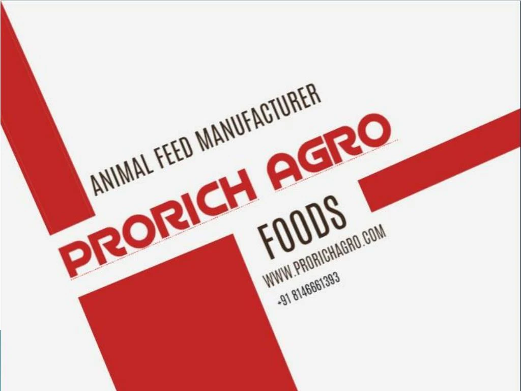 PPT Animal feeds manufacturer in India Prorich Agro PowerPoint Presentation ID7657218