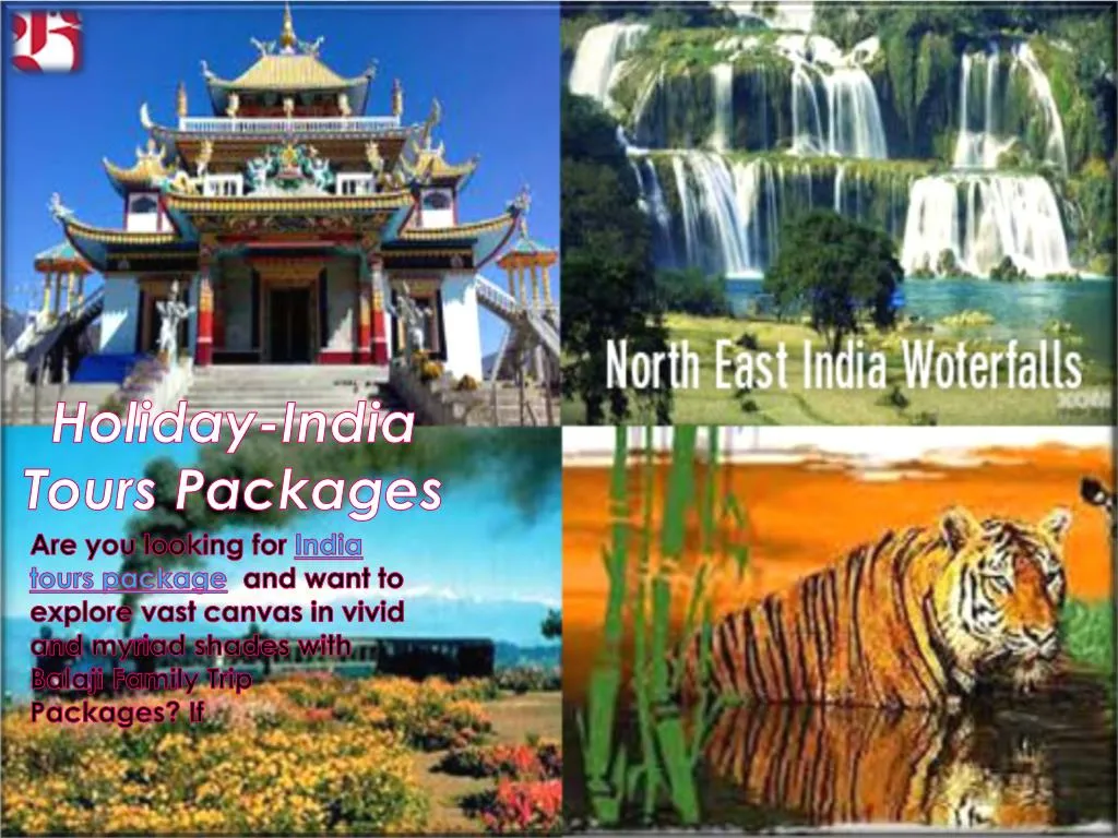 holiday india tours packages n.