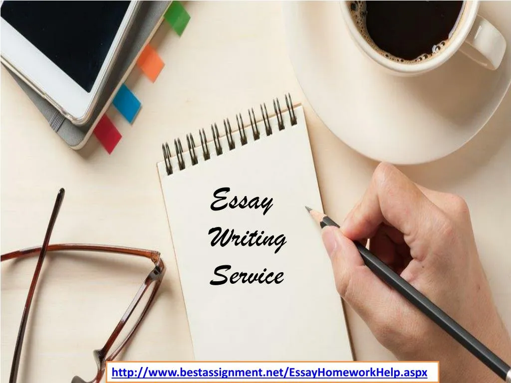 Essay writing examples