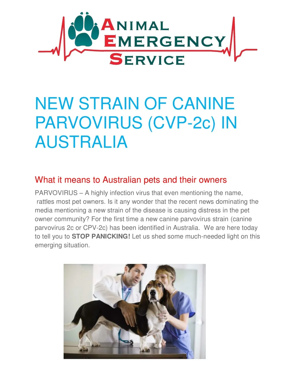 PPT NEW STRAIN OF CANINE PARVOVIRUS IN AUSTRALIA PowerPoint