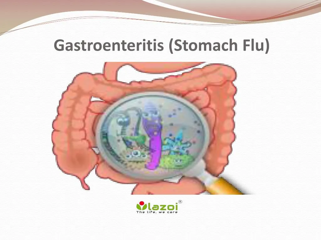 PPT Gastroenteritis (Stomach Flu) Symptoms, causes, diagnosis and