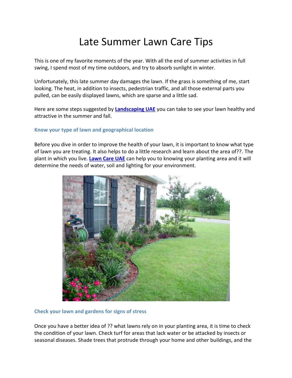 late summer lawn care tips n.