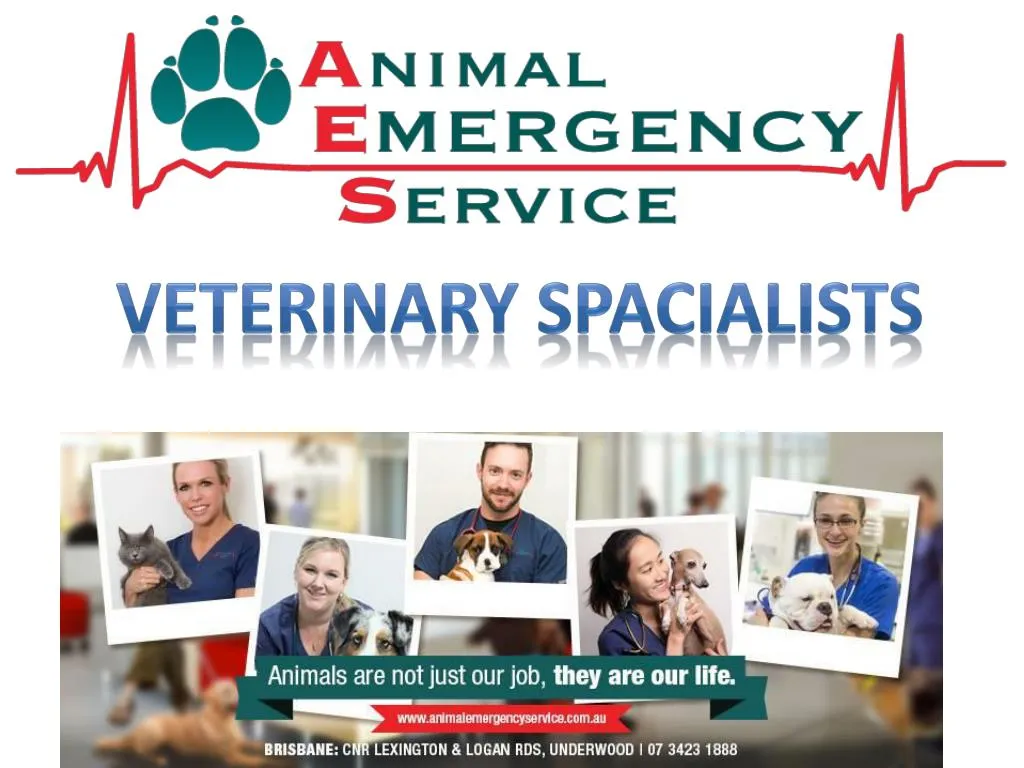 veterinary specialists and emergency services
