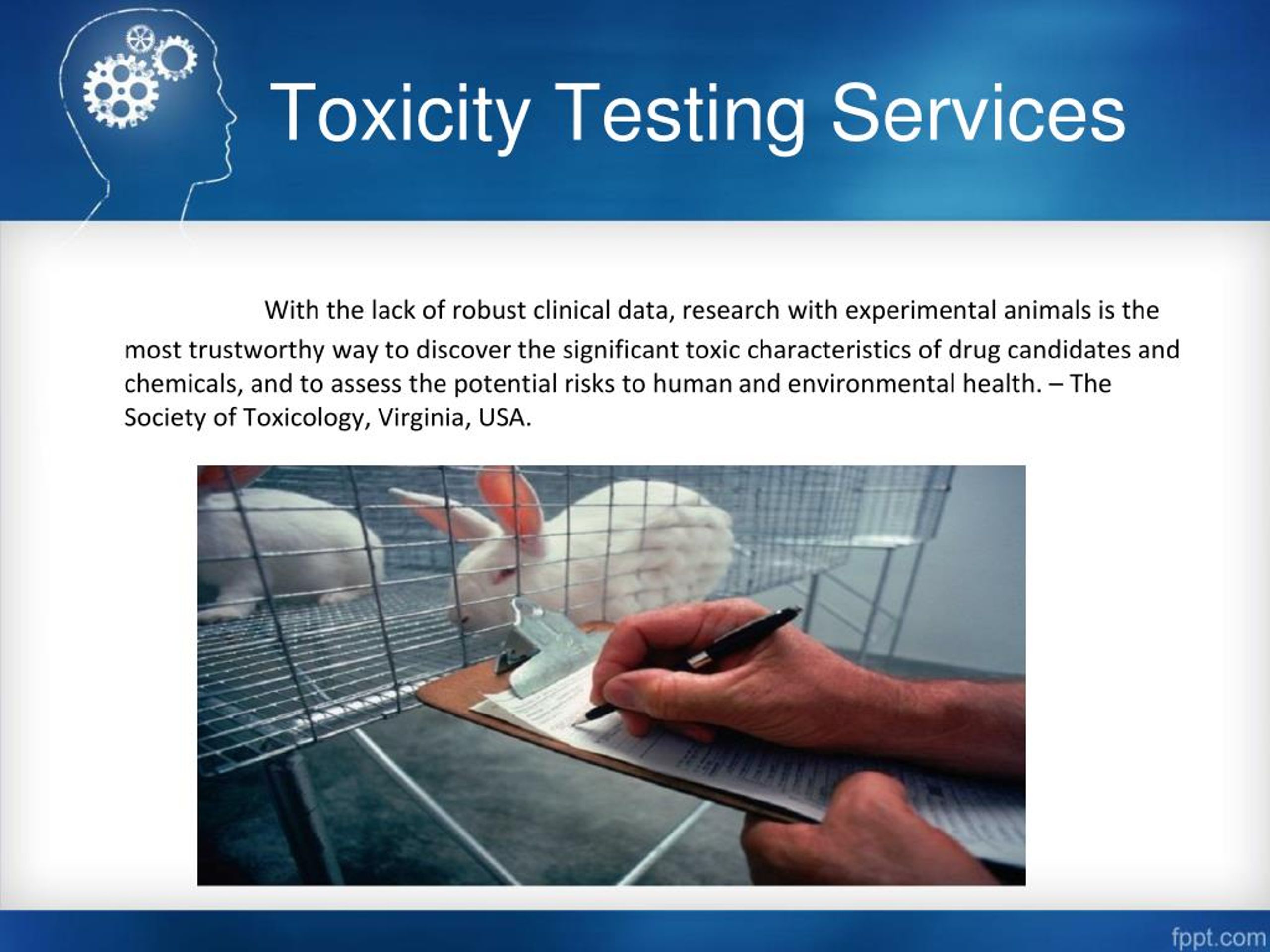 PPT - Toxicity Testing Services PowerPoint Presentation, Free Download ...