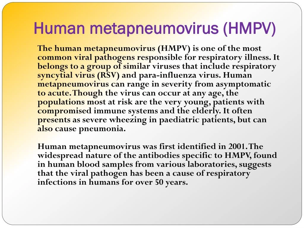 PPT Human metapneumovirus (HMPV) A common cause of respiratory