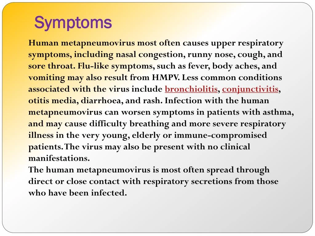 PPT Human metapneumovirus (HMPV) A common cause of respiratory