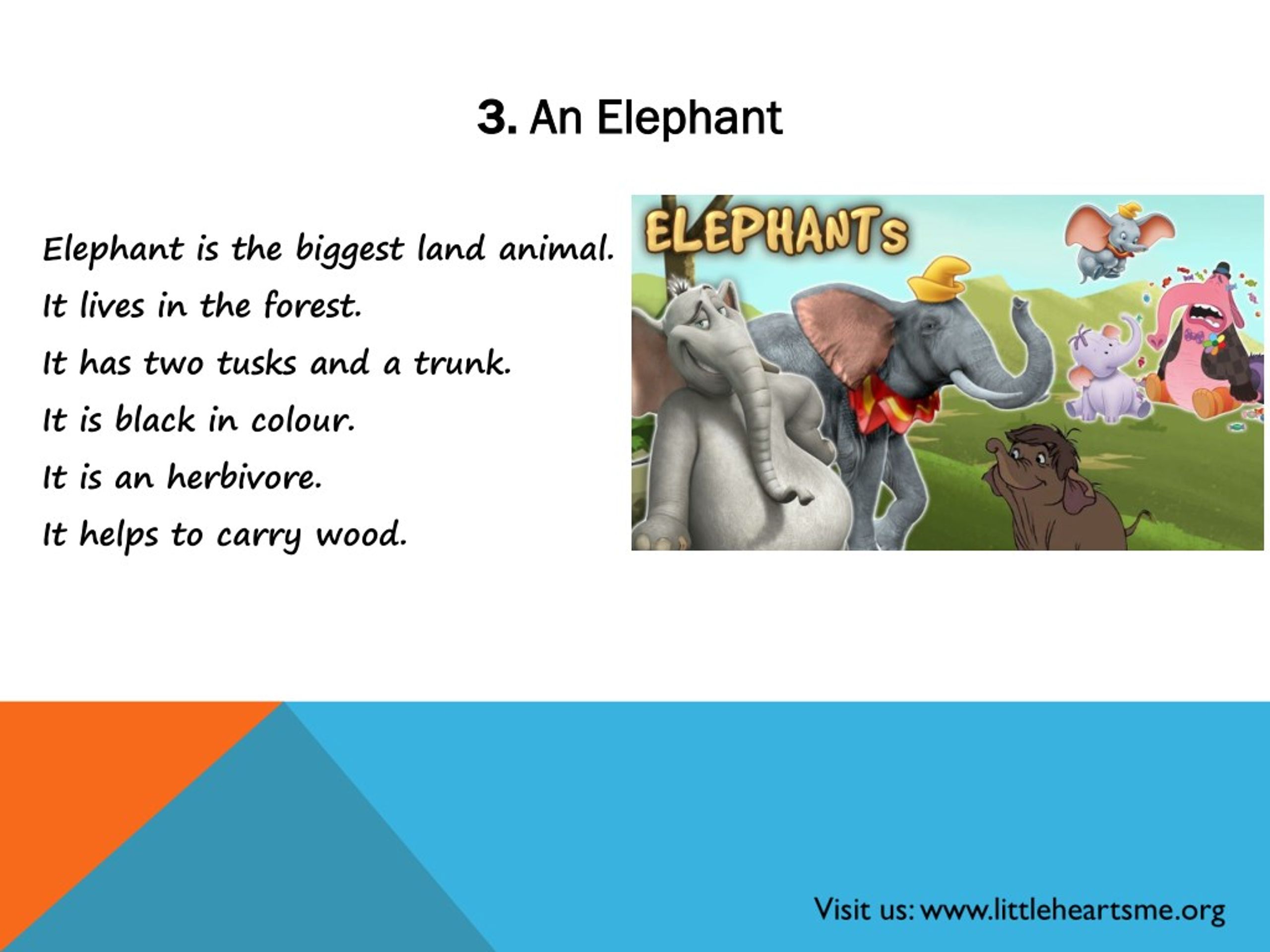 The elephant is mine. A Elephant или an. My favourite animal is Elephant.. Elephant is biggest animal in the Land. An Elephant is Heavier than me.