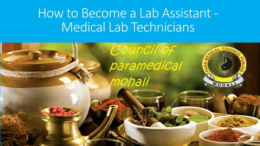 ppt-how-to-become-a-lab-assistant-medical-lab-technicians