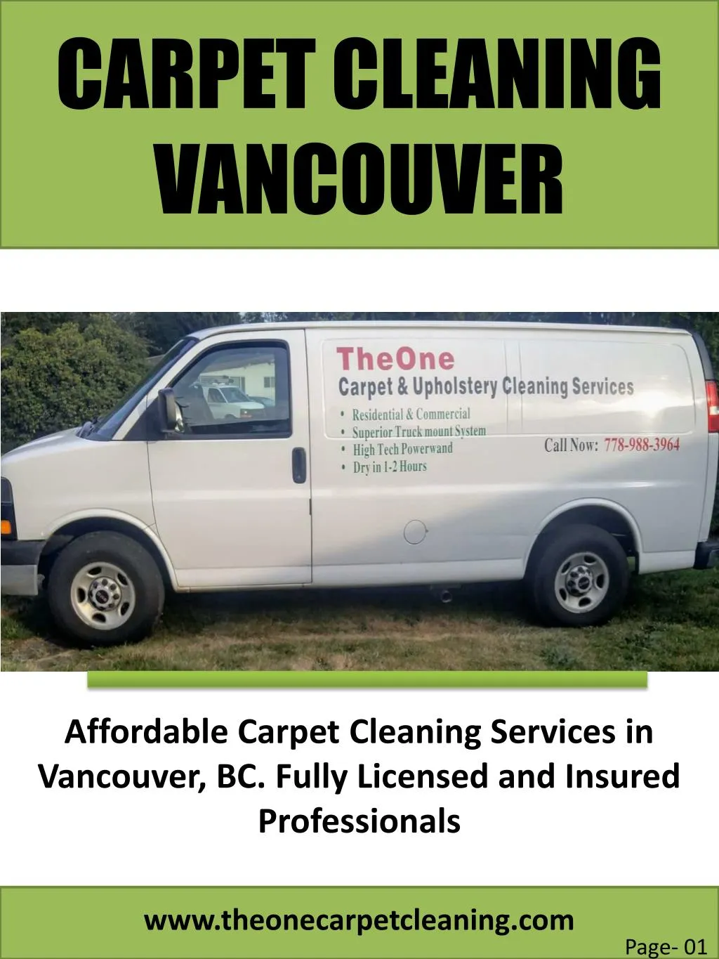 carpet cleaning vancouver n.