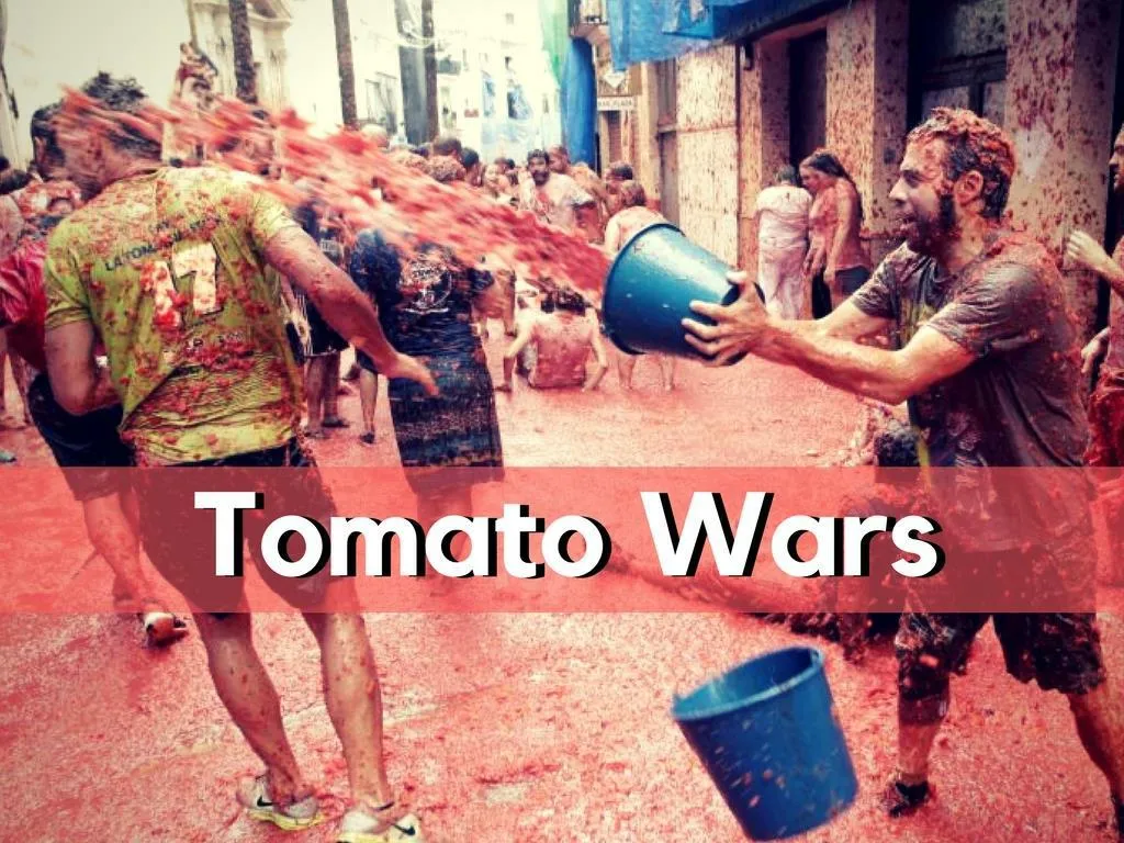 tomato wars n.