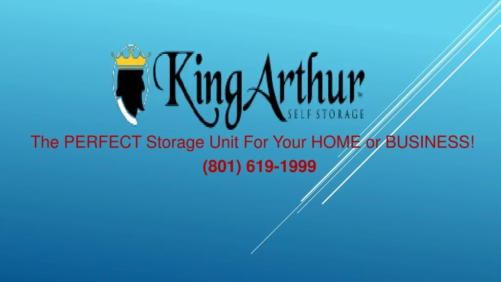 the perfect storage unit for your home or business n.