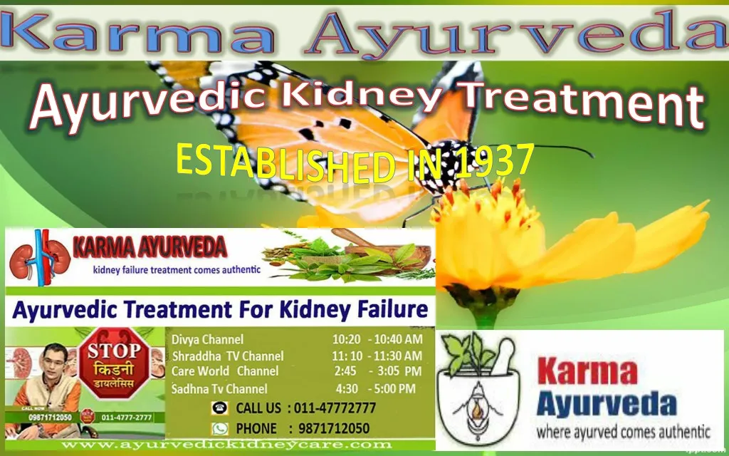 PPT Use Ayurvedic Medicines for Kidney failureKarma ayurveda