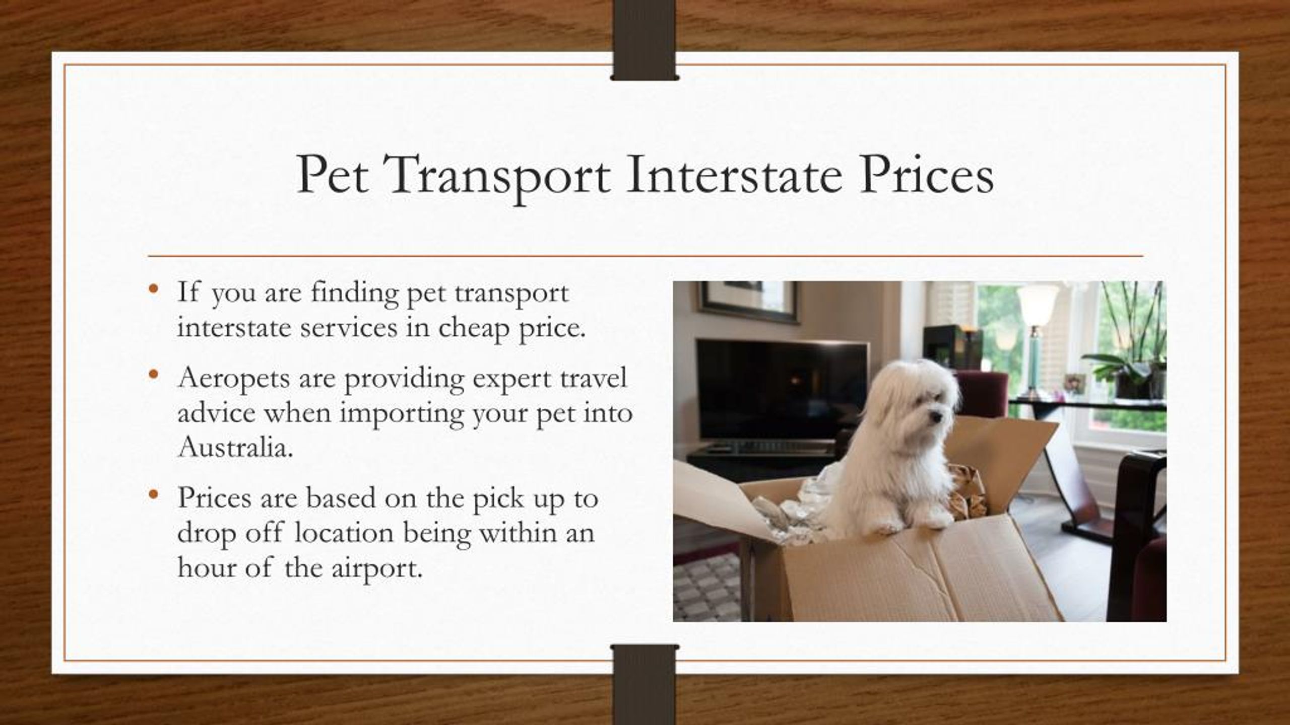 pet transport prices