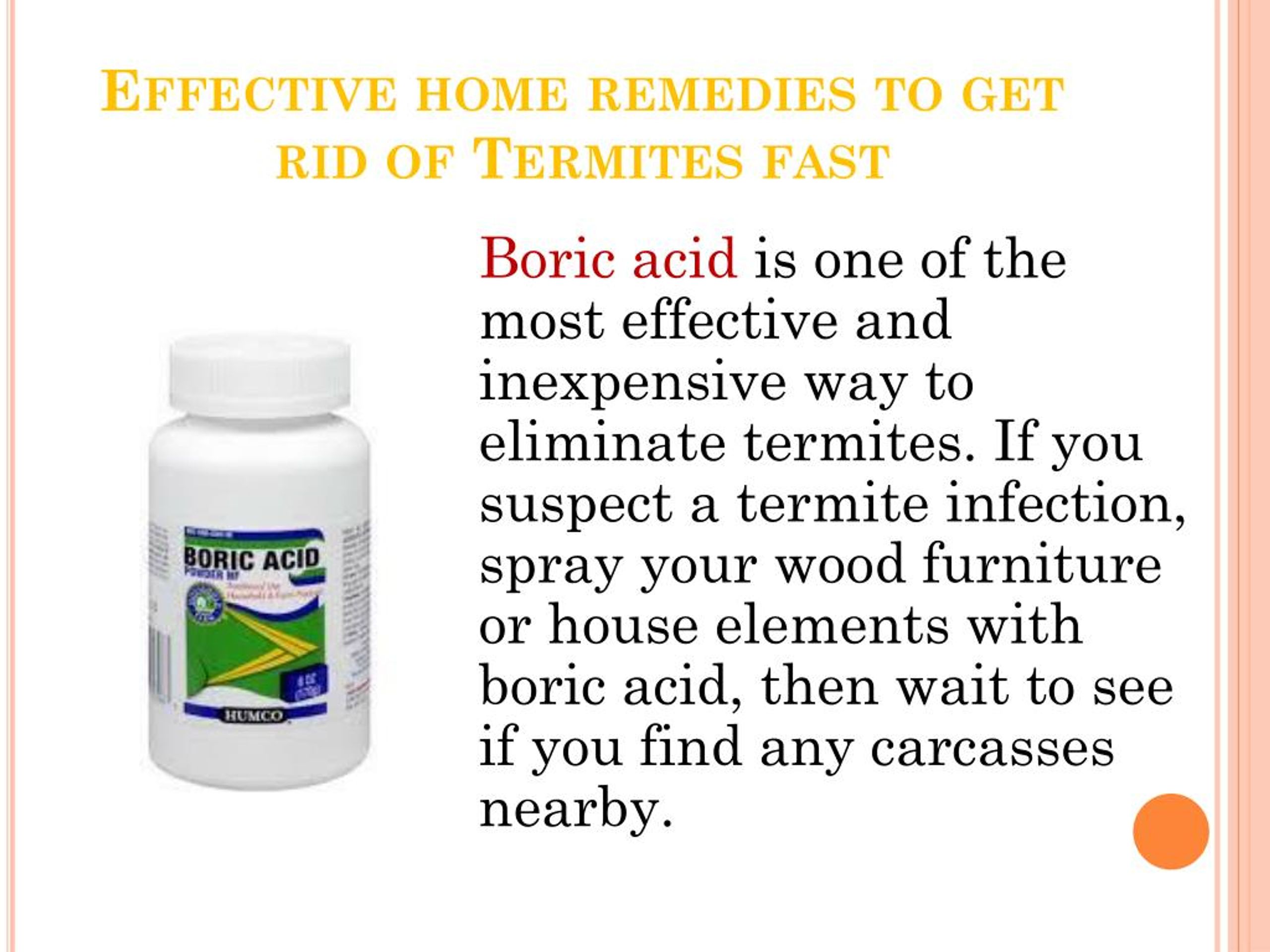 Ppt How To Get Rid Of Termites Quickly Powerpoint Presentation