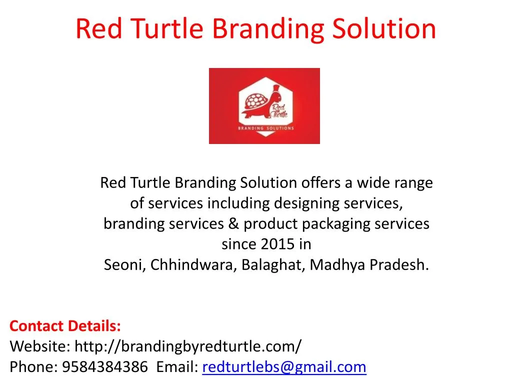 red turtle branding solution n.