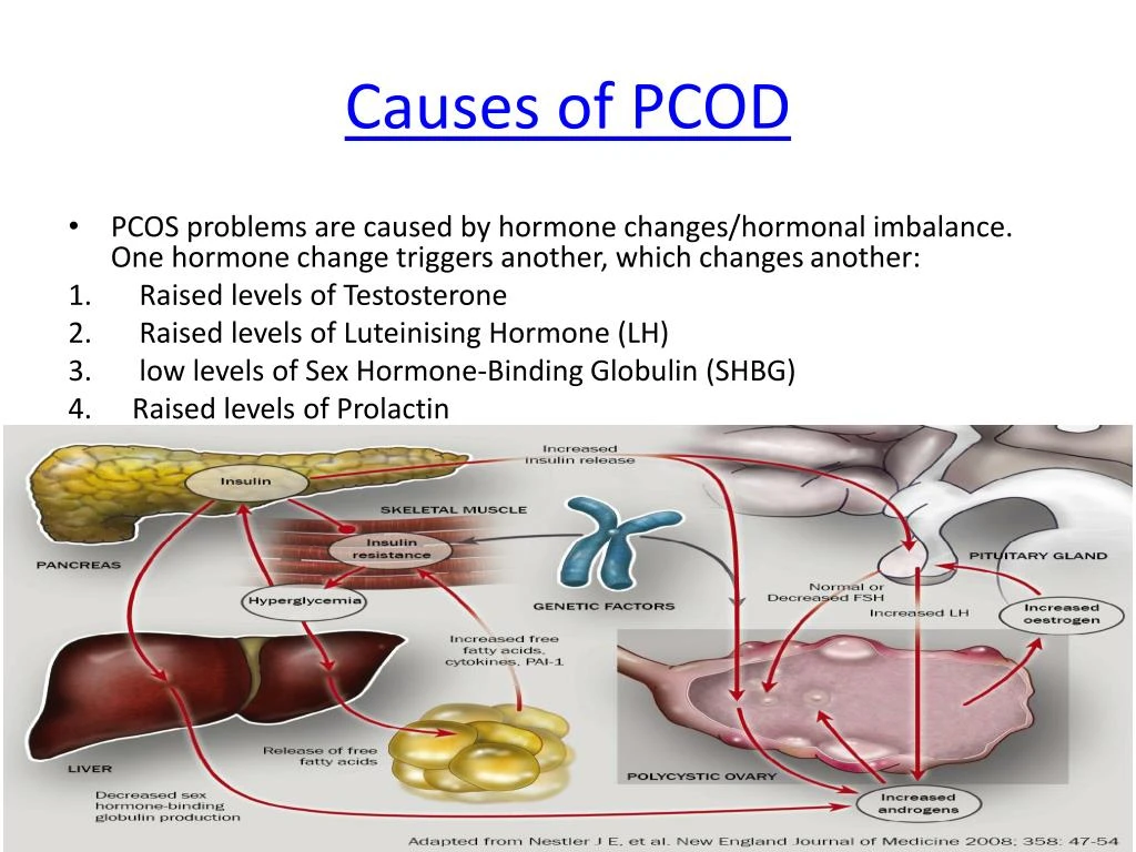 Ppt Online Homeopathic Treatment By Dr Rajesh Shah At Life Force