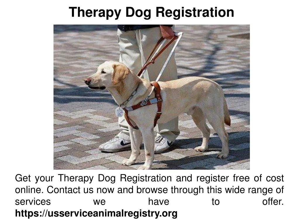 register dog as service dog free