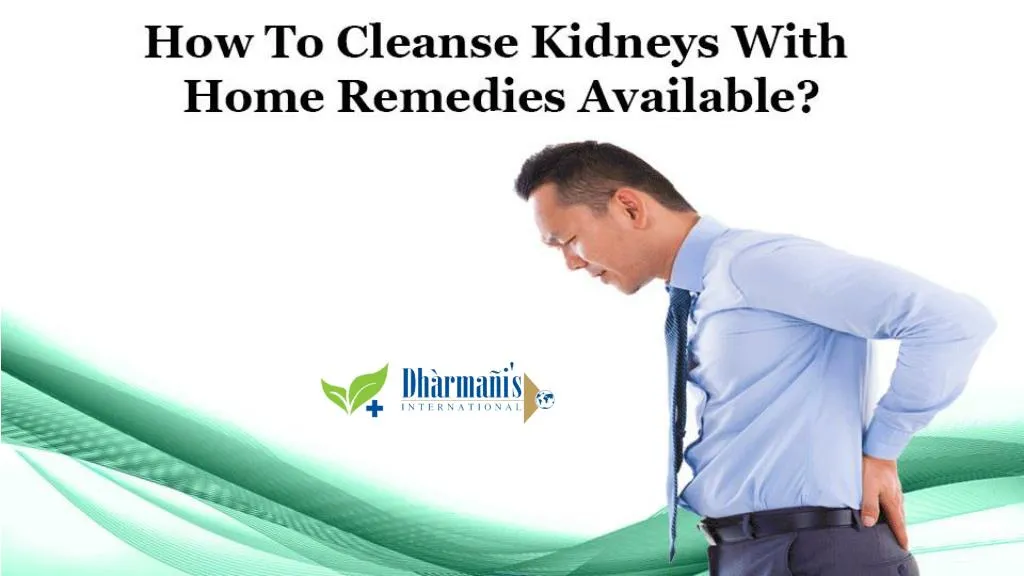 PPT - How To Cleanse Kidneys With Home Remedies Available? PowerPoint ...