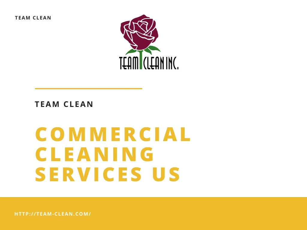 team clean n.