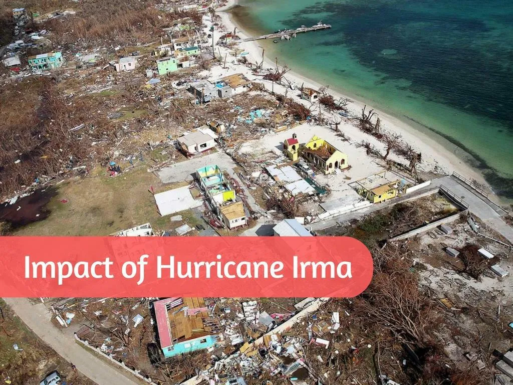 impact of hurricane irma n.