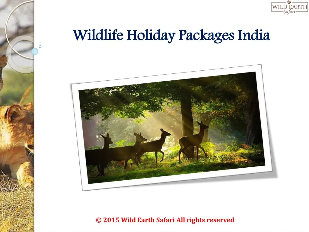 wildlife holiday packages india n.