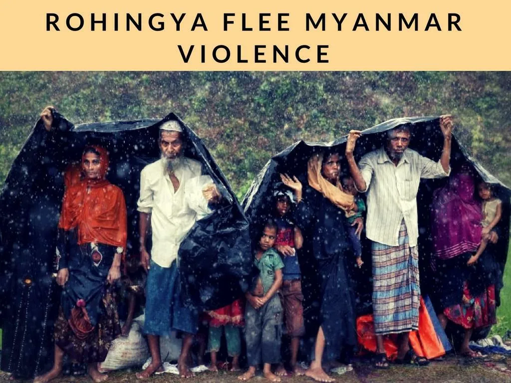 rohingya flee myanmar violence n.