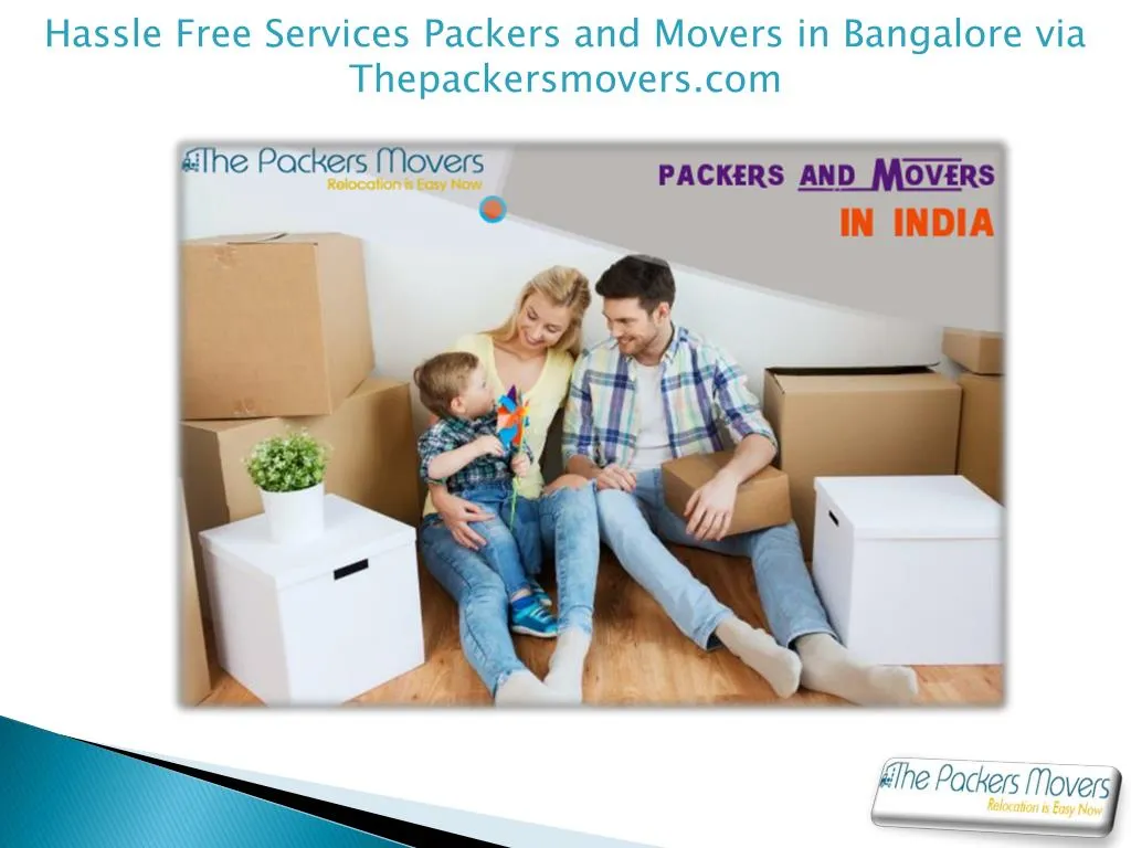 hassle free services packers and movers n.