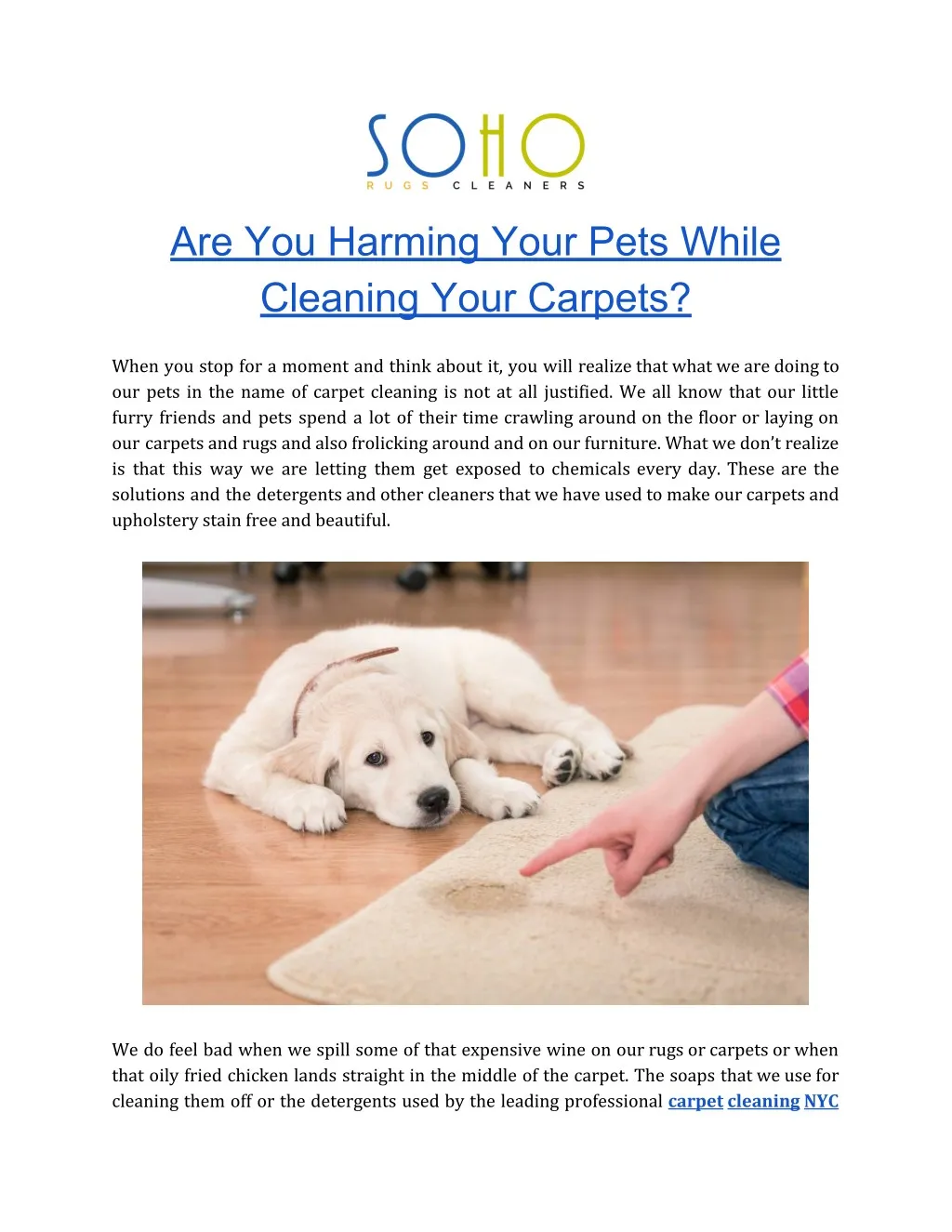 are you harming your pets while cleaning your n.