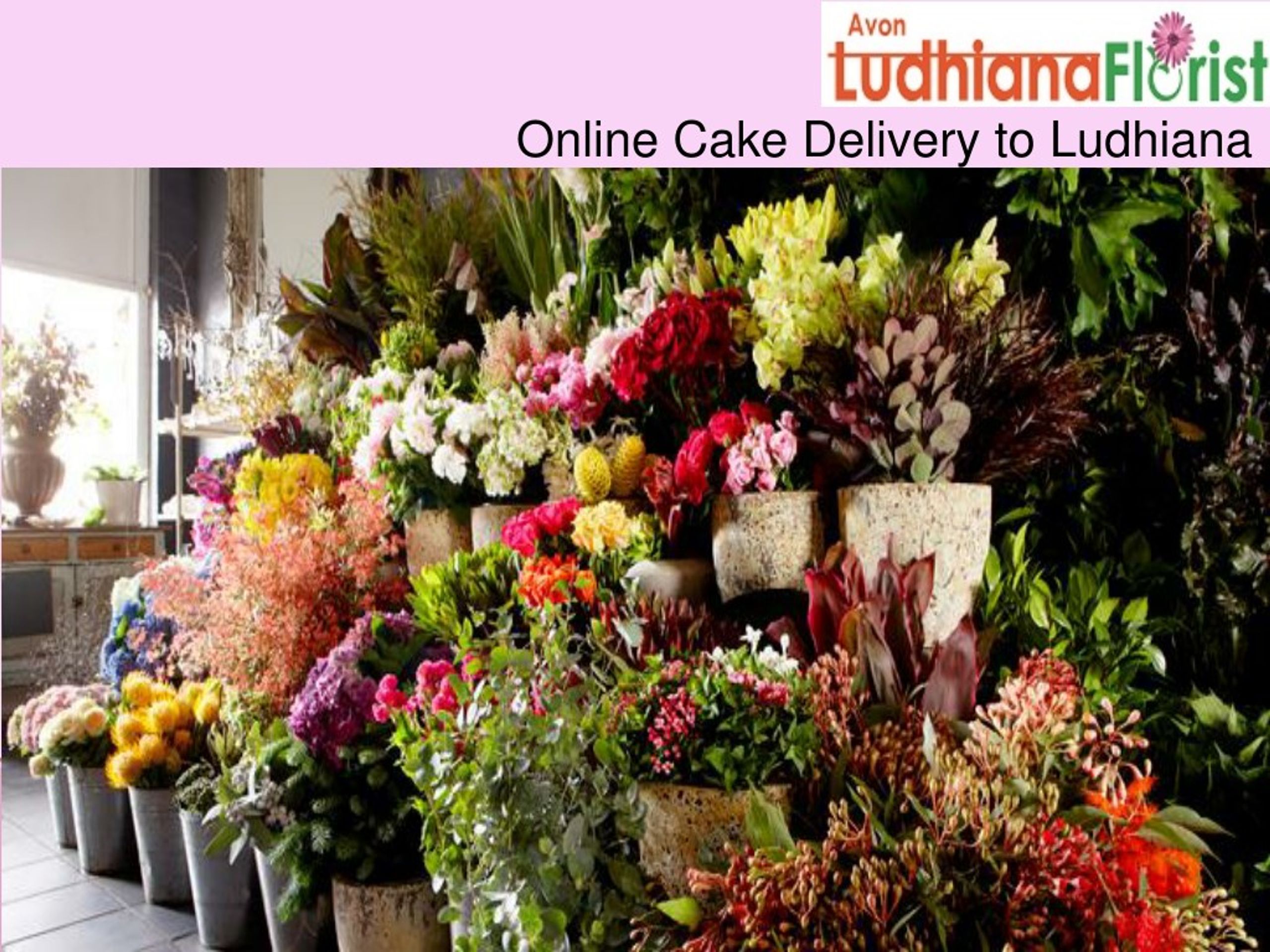 Best Bakery in Sharjah for Cakes | Birthday Cake Shop Near Me - Service  Live | Blog