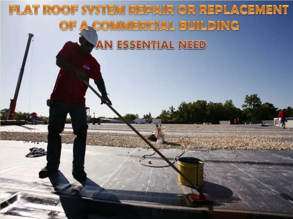flat roof system repair or replacement n.