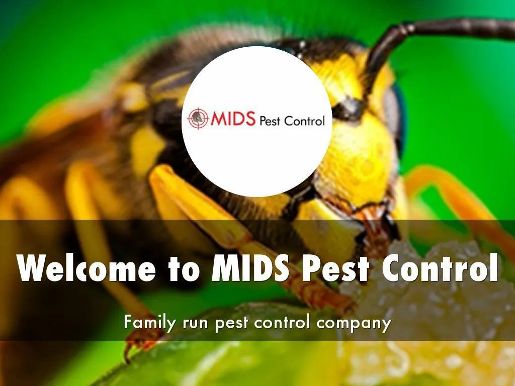 PPT - Pest Control PowerPoint Presentation, Free Download - ID:7702311