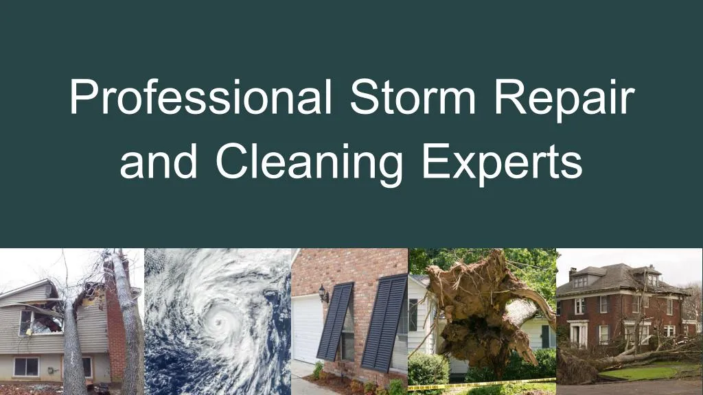 professional storm repair and cleaning experts n.