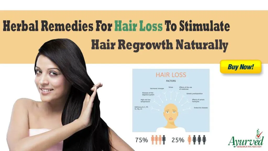 Ppt Herbal Remedies For Hair Loss To Stimulate Hair Regrowth