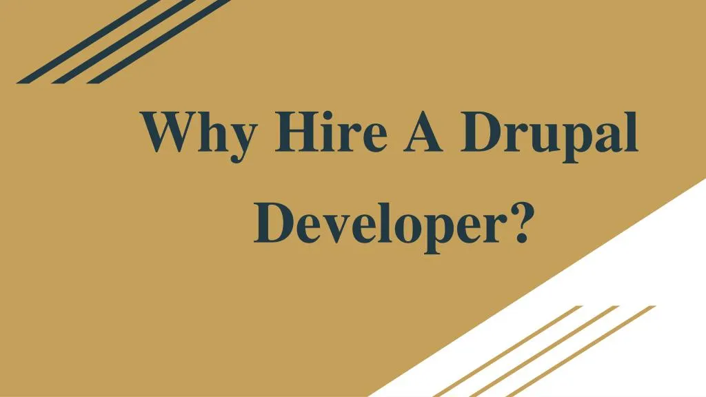 why hire a drupal developer n.