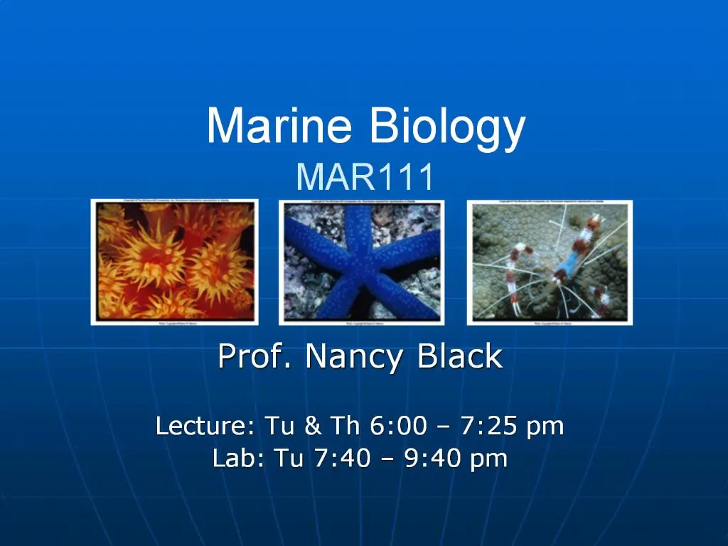 ppt-marine-biology-mar111-powerpoint-presentation-free-download-id