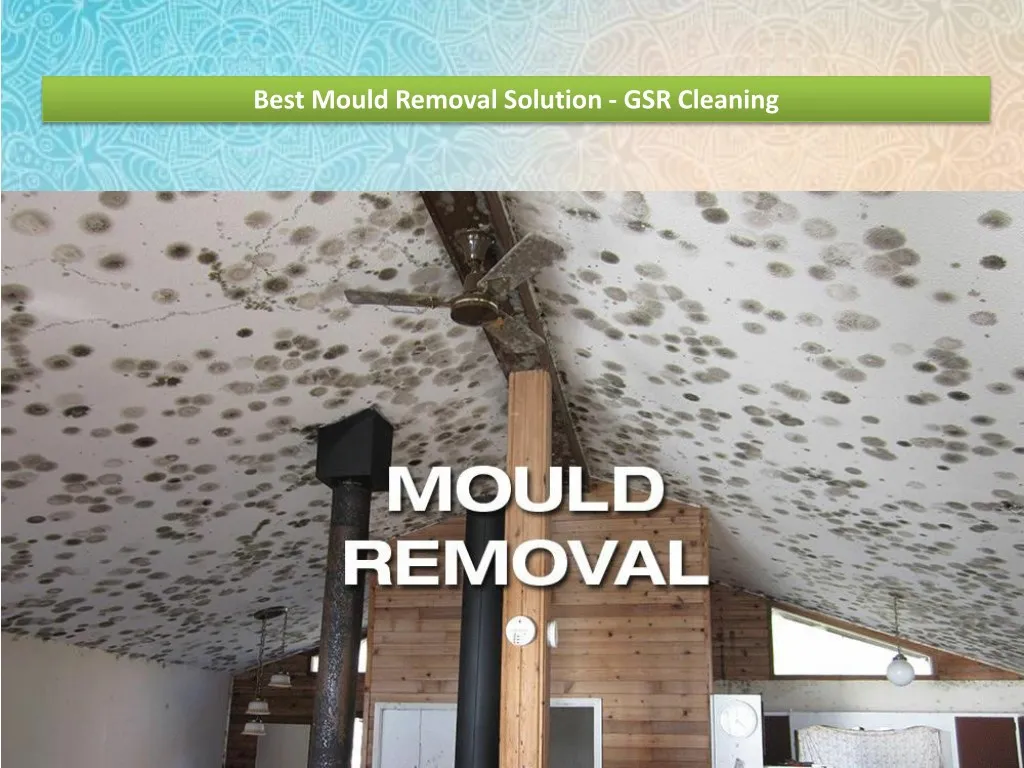 Ppt Best Mould Removal Solution Gsr Cleaning Powerpoint