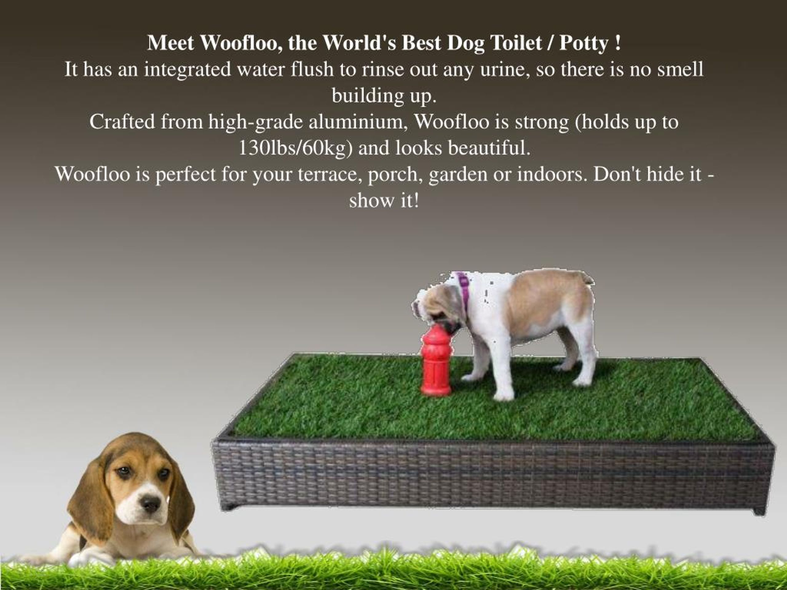 Ppt World S Best Dog Potty Powerpoint Presentation Free