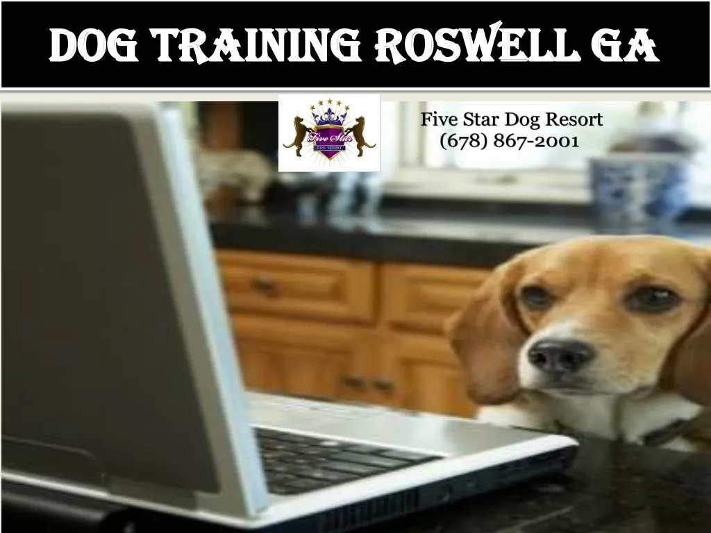 PPT Dog training Roswell GA PowerPoint Presentation, free download