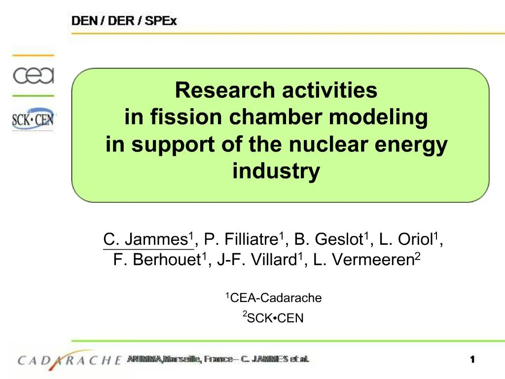 PPT Research activities in fission chamber modeling in support of the