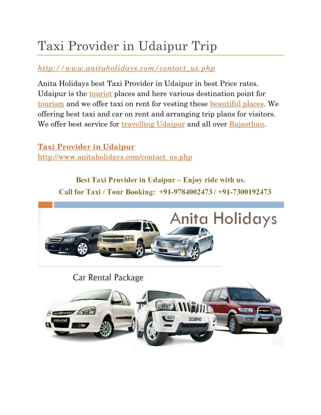 taxi provider in udaipur trip n.